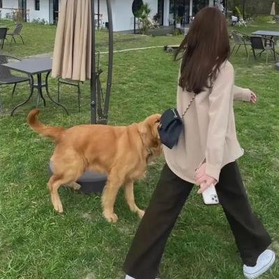 练爱清单